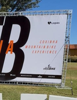 Publicidade e Estrutura