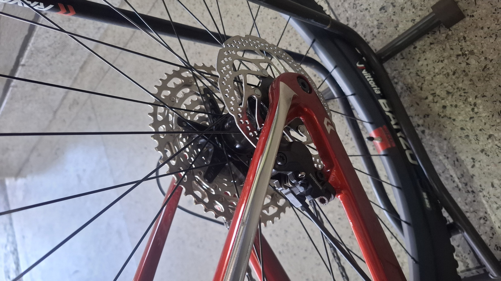 Rava Rage carbon M 2025